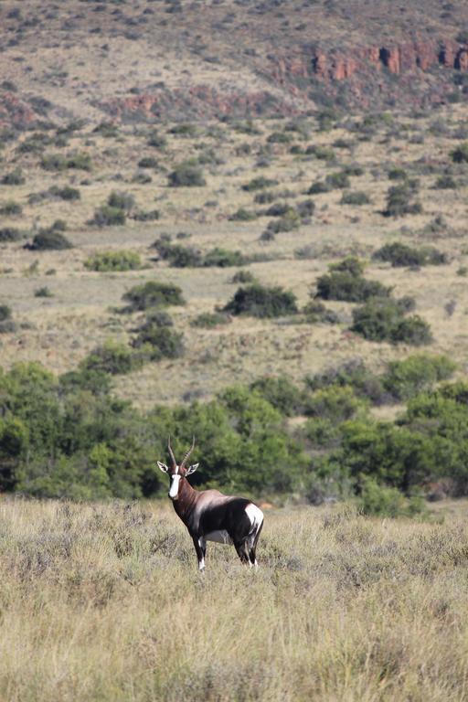 Ko Ka Tsara Bush Camp Villa Beaufort West Exteriör bild